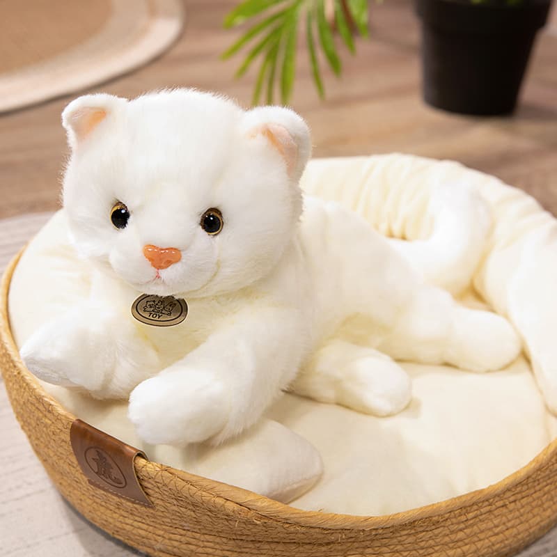 猫ぬいぐるみ 白色 ふわもち癒しのもふねこ