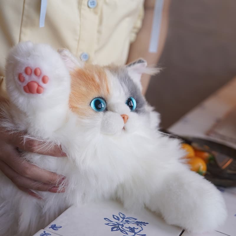 猫ぬいぐるみ 白色 ふわもふ夢見る美瞳ぬいぐるみ