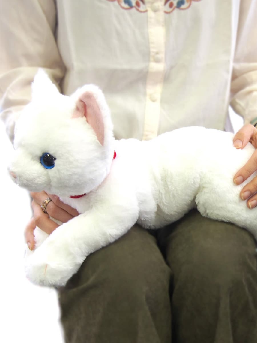 猫ぬいぐるみ 白色 オッドアイの不思議な白猫ぬいぐるみ