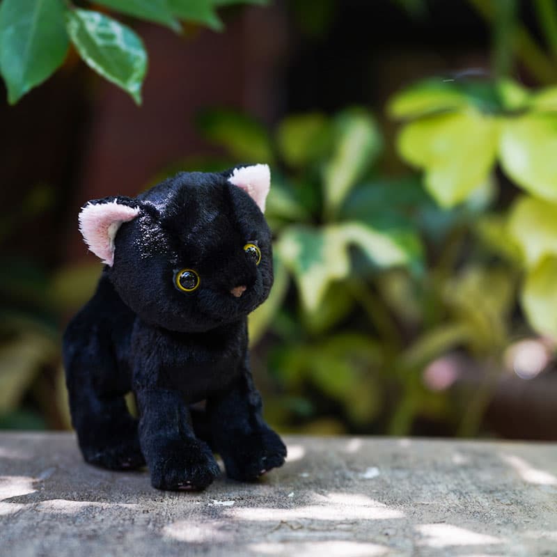 猫ぬいぐるみ 黒猫 夜空の瞳輝く黒猫のもふもふ