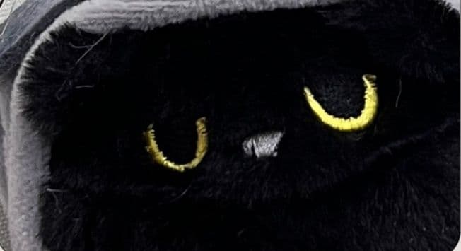 猫ぬいぐるみ 黒猫 騎士の魂を宿した黒猫ぬいぐるみ