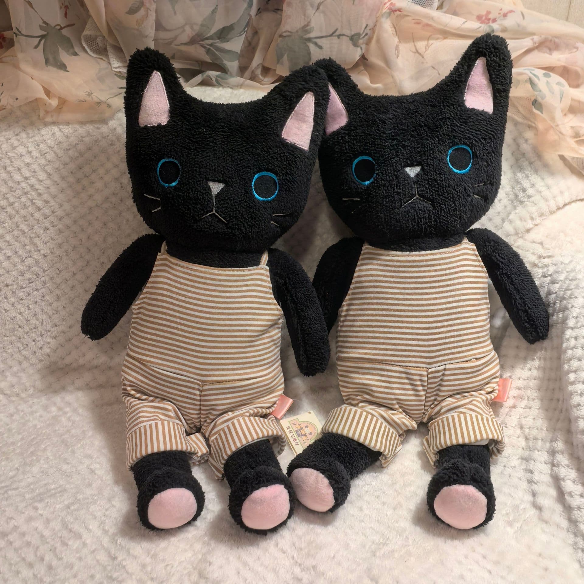 猫ぬいぐるみ 黒猫 おめめくりくりねこちゃんぬいぐるみ