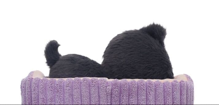 猫ぬいぐるみ 黒猫 おやすみ黒猫のぬくもりぬいぐるみ