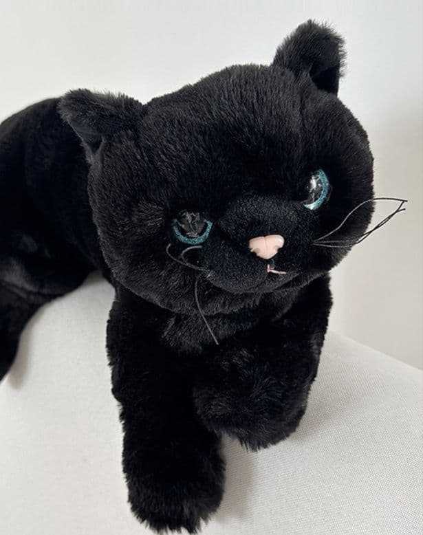 猫ぬいぐるみ 黒猫 ふわもち黒猫ぬいぐるみ 