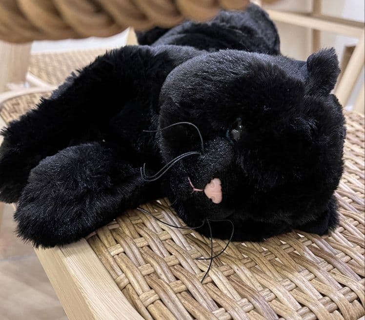 猫ぬいぐるみ 黒猫 ふわもち黒猫ぬいぐるみ 