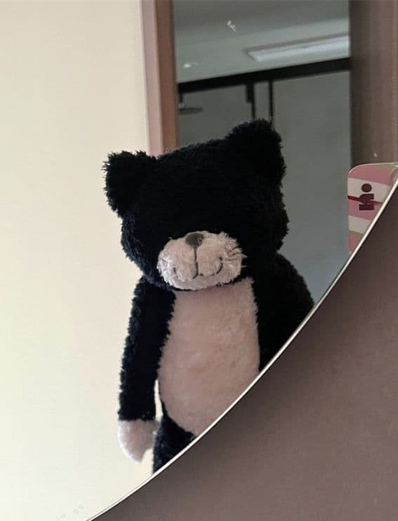 猫ぬいぐるみ 黒猫 もふっと抱きしめ猫ぬいぐるみ