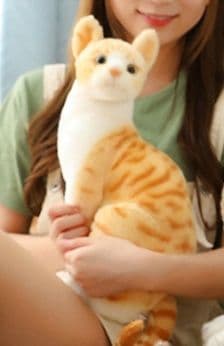 猫ぬいぐるみ 茶色 癒しの虎模様ぬいぐるみ