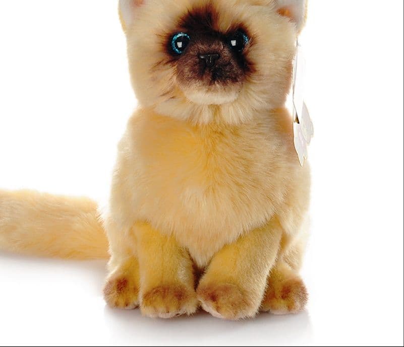 猫ぬいぐるみ グレー もふもふ癒しの子猫