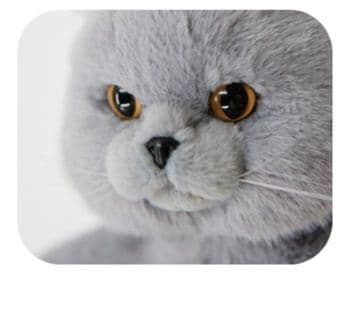 猫ぬいぐるみ グレー もふもふ子猫のお出かけポーチ