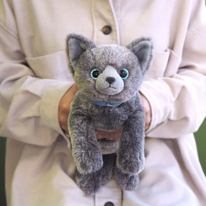猫ぬいぐるみ グレー 澄んだ瞳の甘えん坊ちゃん