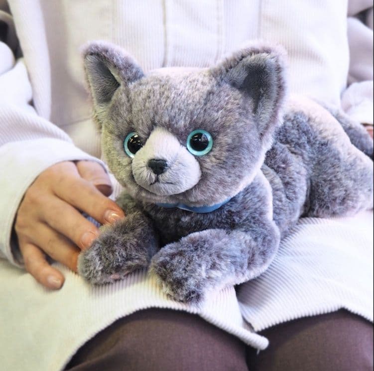 猫ぬいぐるみ グレー 澄んだ瞳の甘えん坊ちゃん