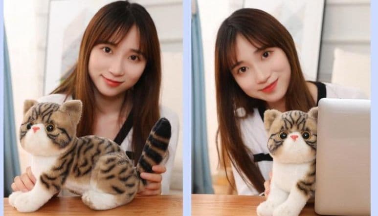 猫ぬいぐるみ 茶色 もふもふ癒しのお昼寝ぬいぐるみ