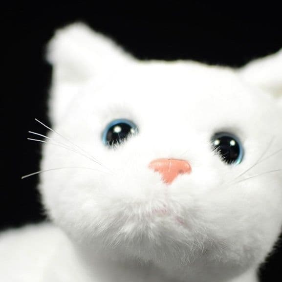 猫ぬいぐるみ 白色 純白の癒し子猫ちゃん