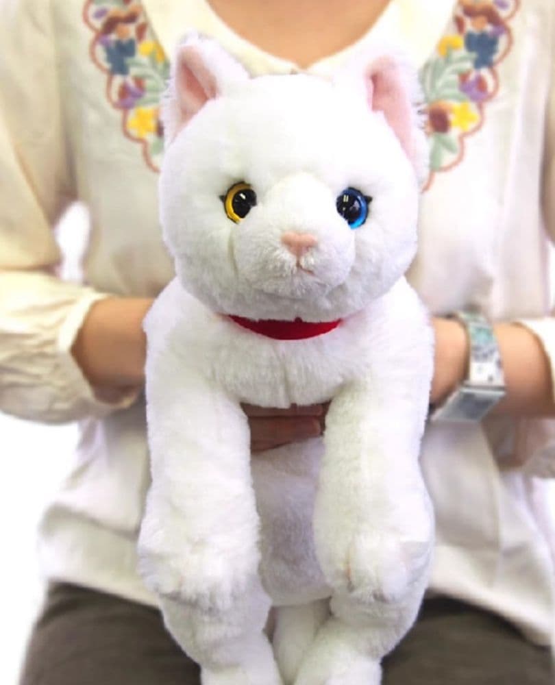 猫ぬいぐるみ 白色 オッドアイの不思議な白猫ぬいぐるみ