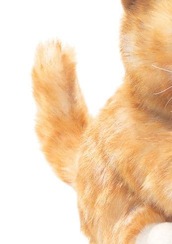 猫ぬいぐるみ 茶色 もふもふ茶トラ子猫