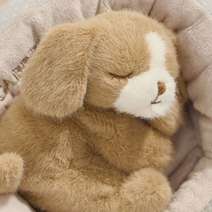猫ぬいぐるみ白色 おやすみ猫ちゃんぬいぐるみ