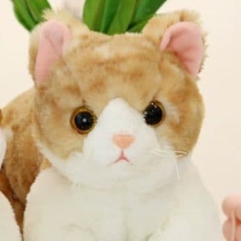 ごろん姿がかわいいトラ茶猫ぬいぐるみ