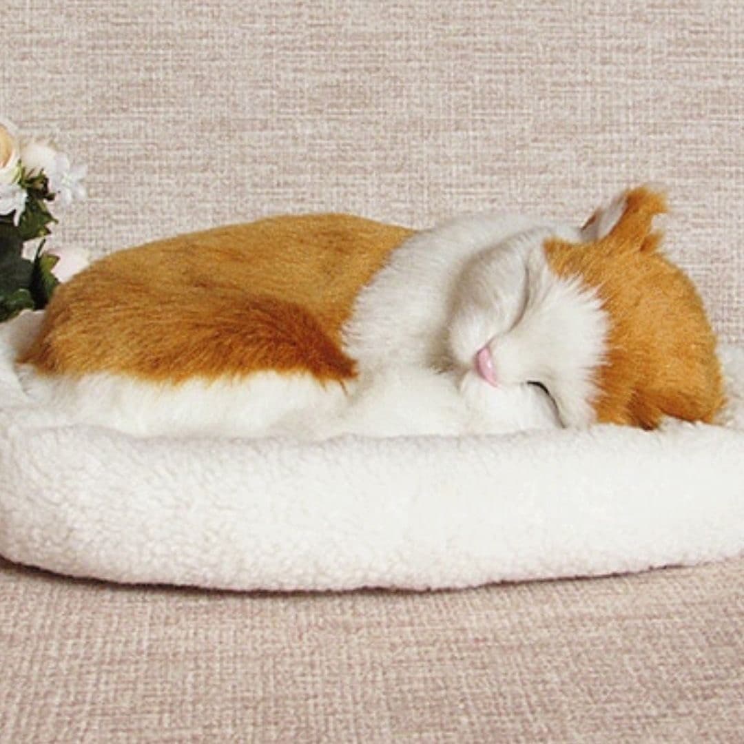 猫ぬいぐるみ 眠る猫ちゃん 茶色 電池式お腹動く抱き枕