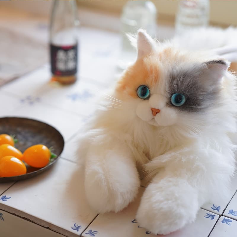 猫ぬいぐるみ 白色 ふわもふ夢見る美瞳ぬいぐるみ