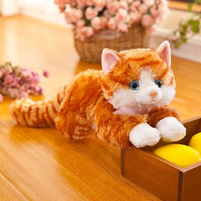 猫ぬいぐるみ 白色 ふわもち抱き猫 癒しの天使
