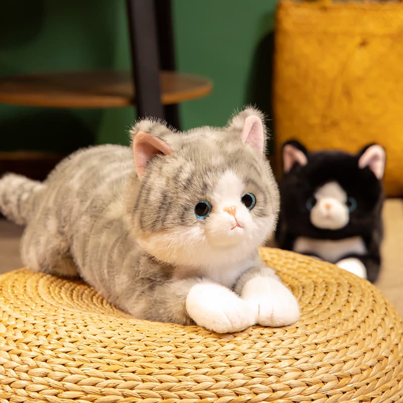 猫ぬいぐるみ グレー ふわもふ夢猫 青い瞳の癒し子