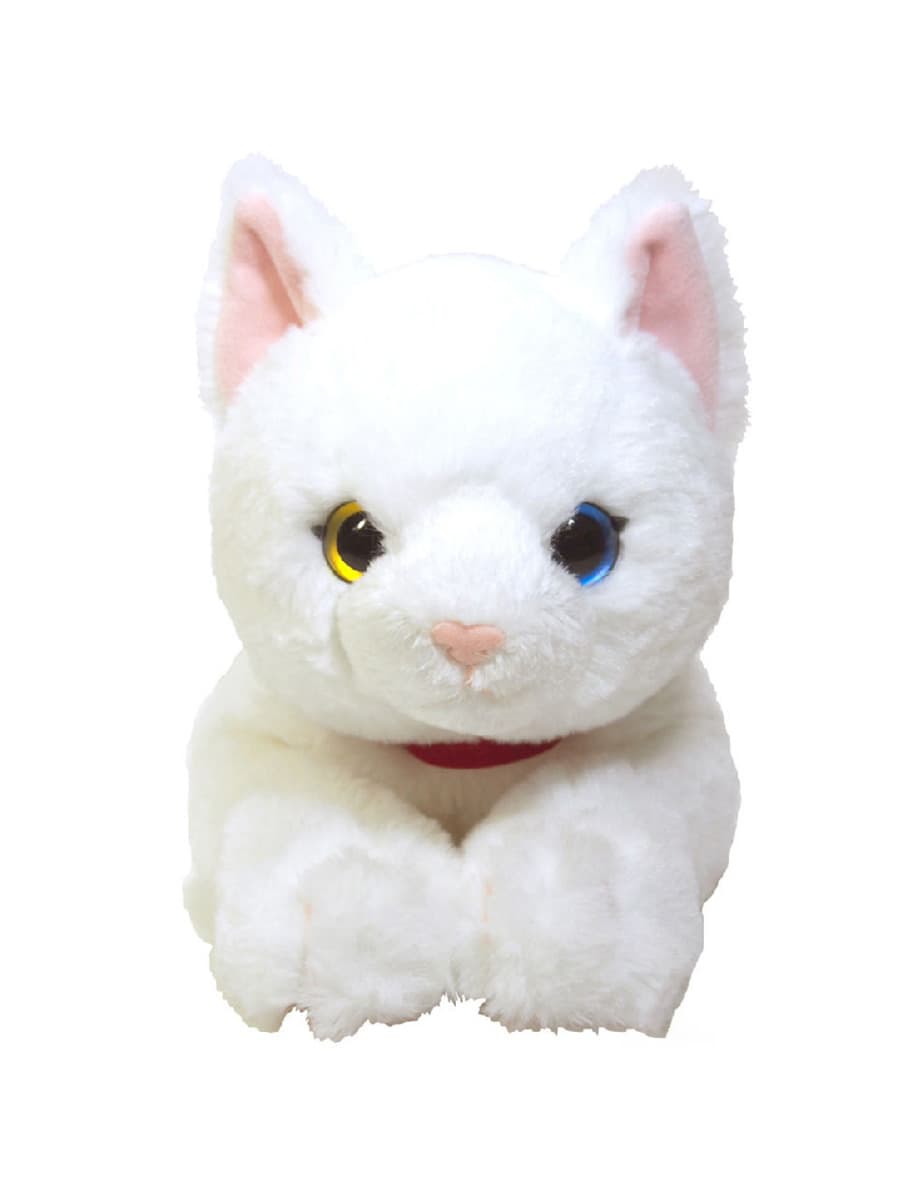 猫ぬいぐるみ 白色 オッドアイの不思議な白猫ぬいぐるみ