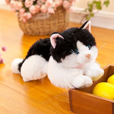 猫ぬいぐるみ 白色 ふわもち抱き猫 癒しの天使