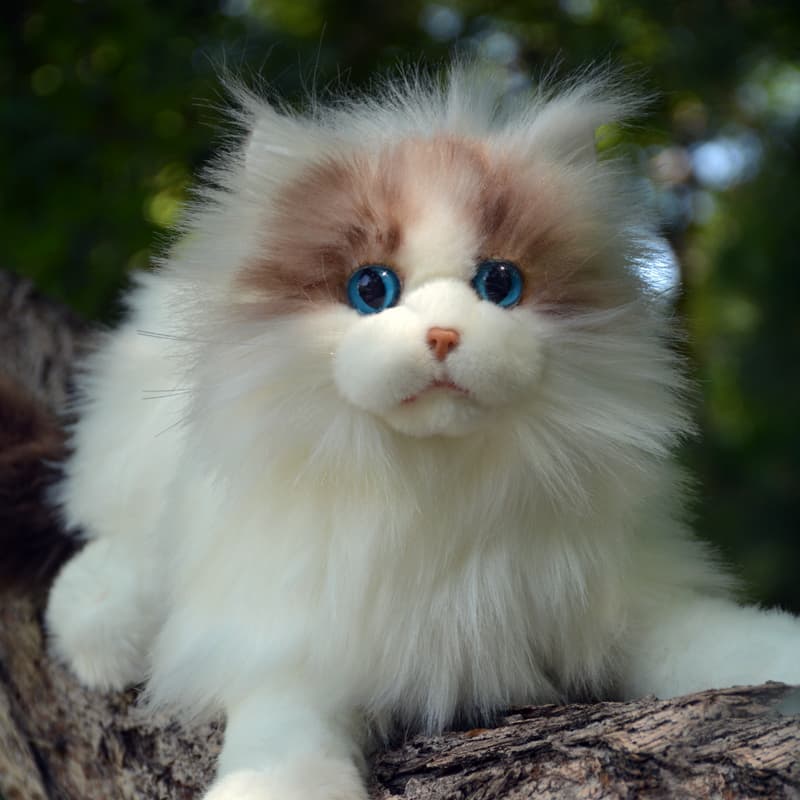 猫ぬいぐるみ 白色 ふわもこ天使のひととき