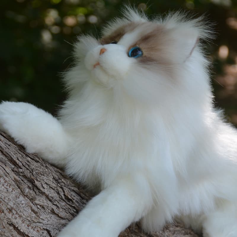 猫ぬいぐるみ 白色 ふわもこ天使のひととき