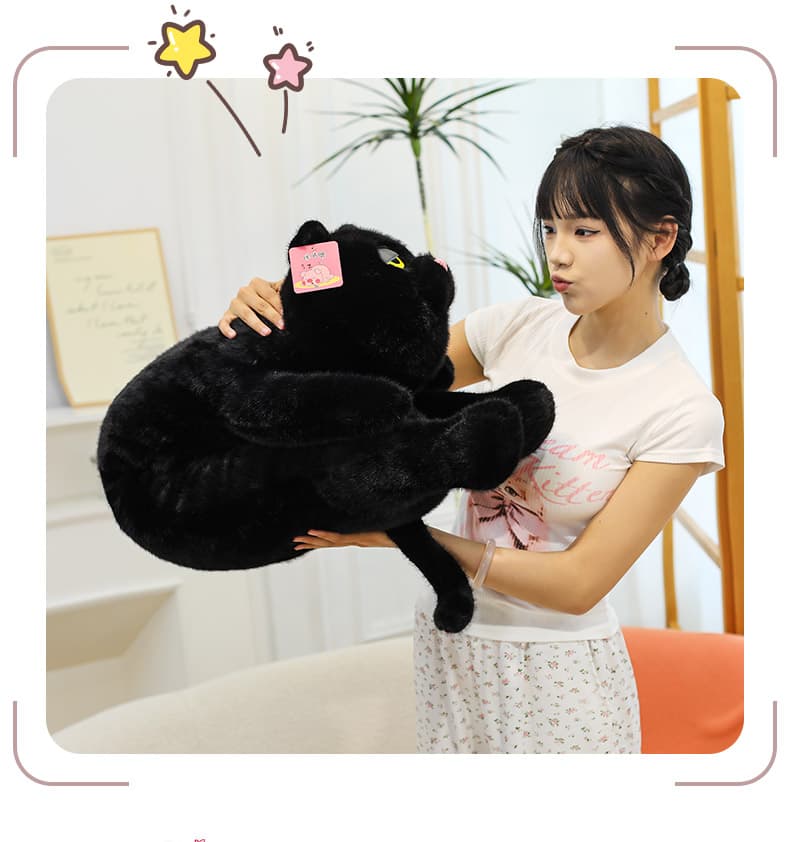猫ぬいぐるみ つぶらな瞳のおすまし猫