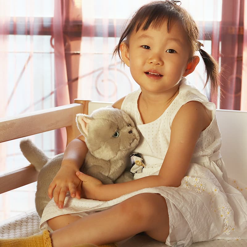 猫ぬいぐるみ グレー もふもふ抱き猫 なごみ