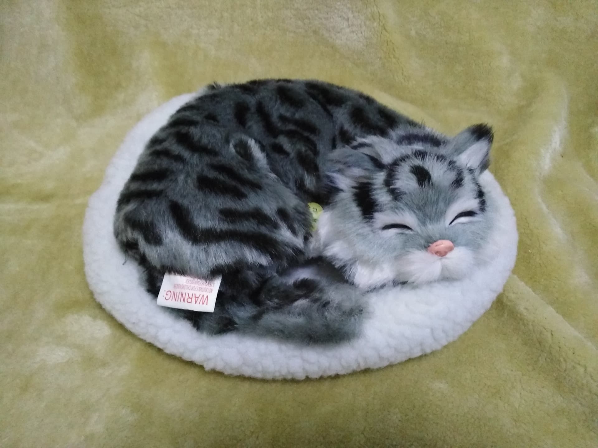 トラ茶猫ぬいぐるみ 眠る子猫のふわふわ丸型座布団付き猫ぬいぐるみ