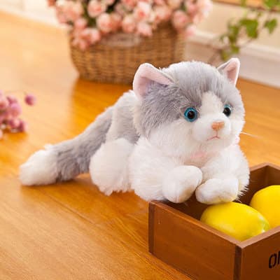 猫ぬいぐるみ 白色 ふわもち抱き猫 癒しの天使