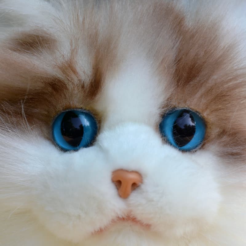 猫ぬいぐるみ 白色 ふわもこ天使のひととき