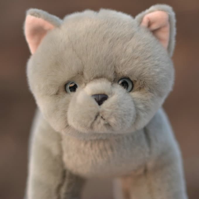 猫ぬいぐるみ もふもふ子猫のぬくもり