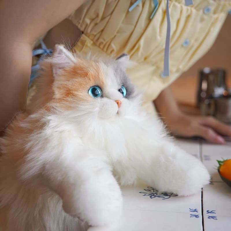 猫ぬいぐるみ 白色 ふわもふ夢見る美瞳ぬいぐるみ
