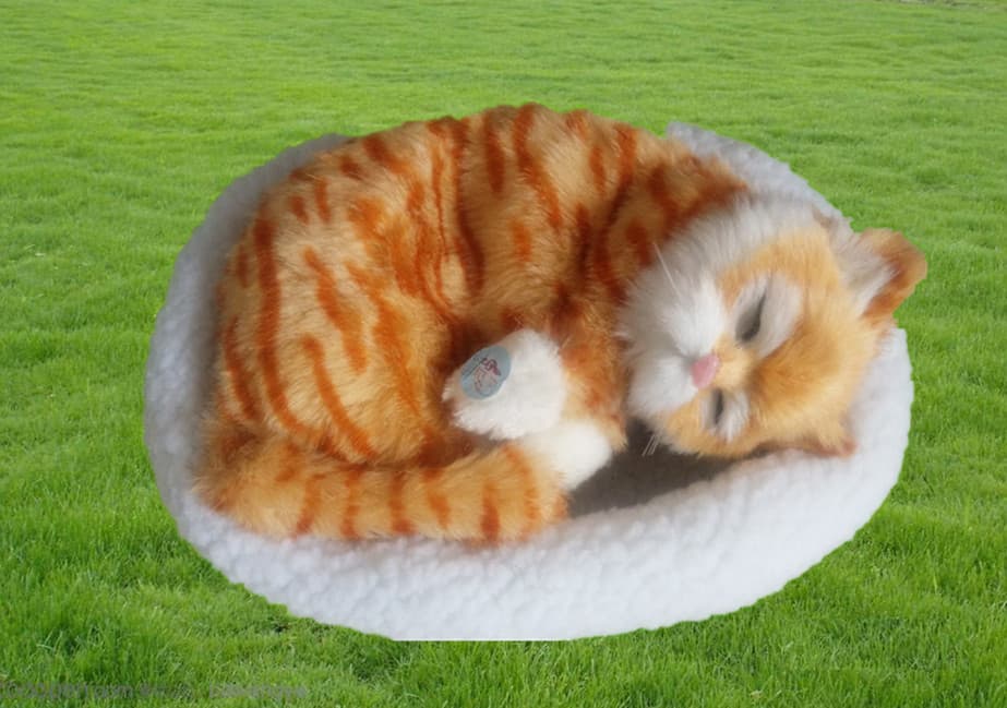 トラ茶猫ぬいぐるみ 眠る子猫のふわふわ丸型座布団付き猫ぬいぐるみ