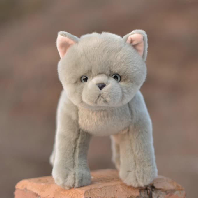 猫ぬいぐるみ もふもふ子猫のぬくもり