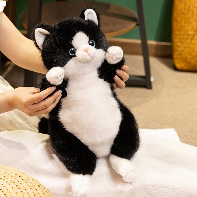 猫ぬいぐるみ もちもち抱きぬいぐるみ まんまる子猫