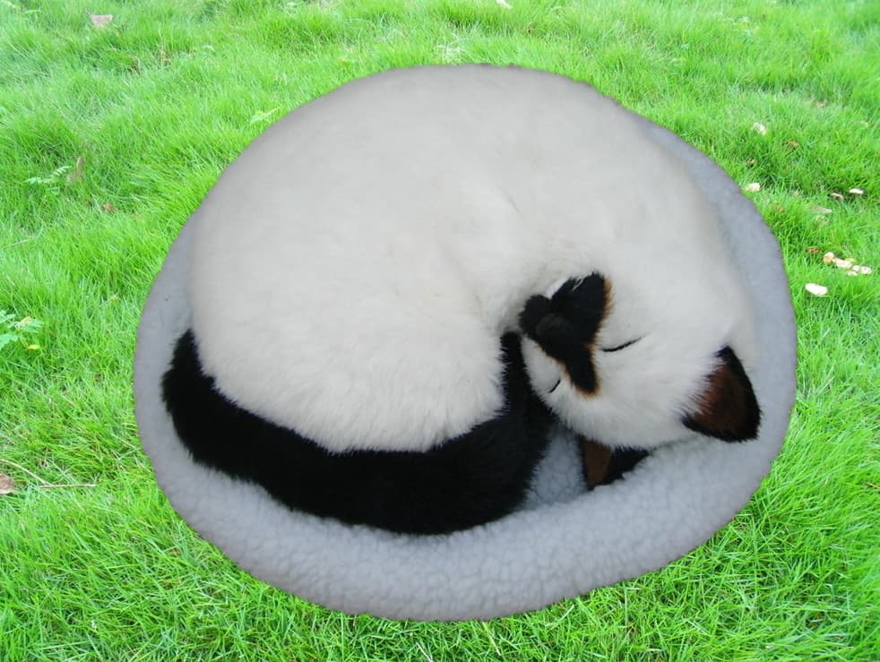 猫ぬいぐるみ まるくなって眠る子猫のぬいぐるみ丸型座布団付き