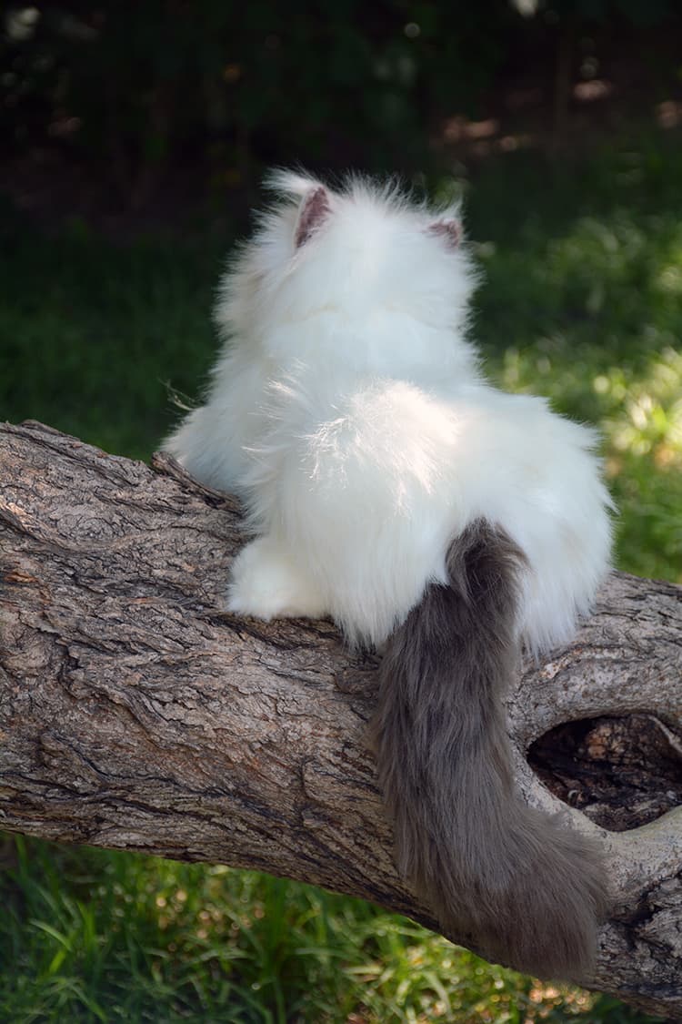 猫ぬいぐるみ 白色 ふわもこ天使のひととき