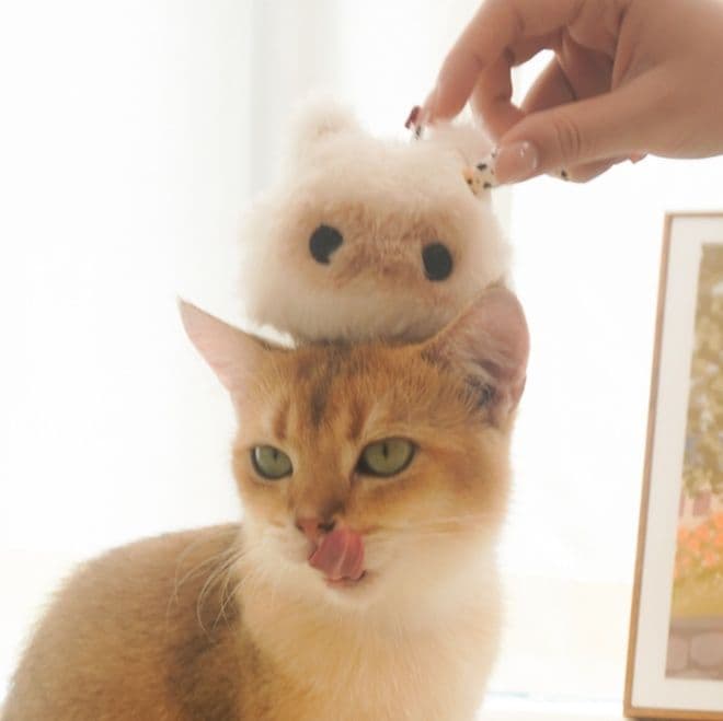 猫ぬいぐるみ 白色 ふわもこ鳥さん猫おもちゃ