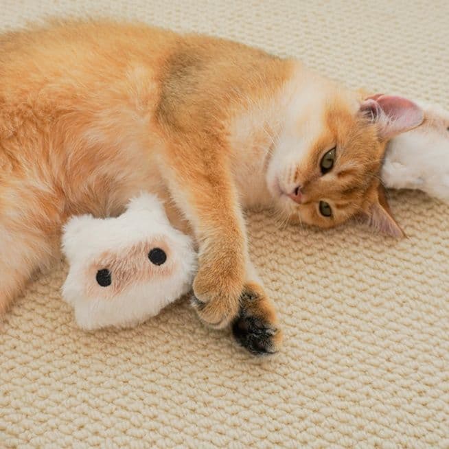 猫ぬいぐるみ 白色 ふわもこ鳥さん猫おもちゃ