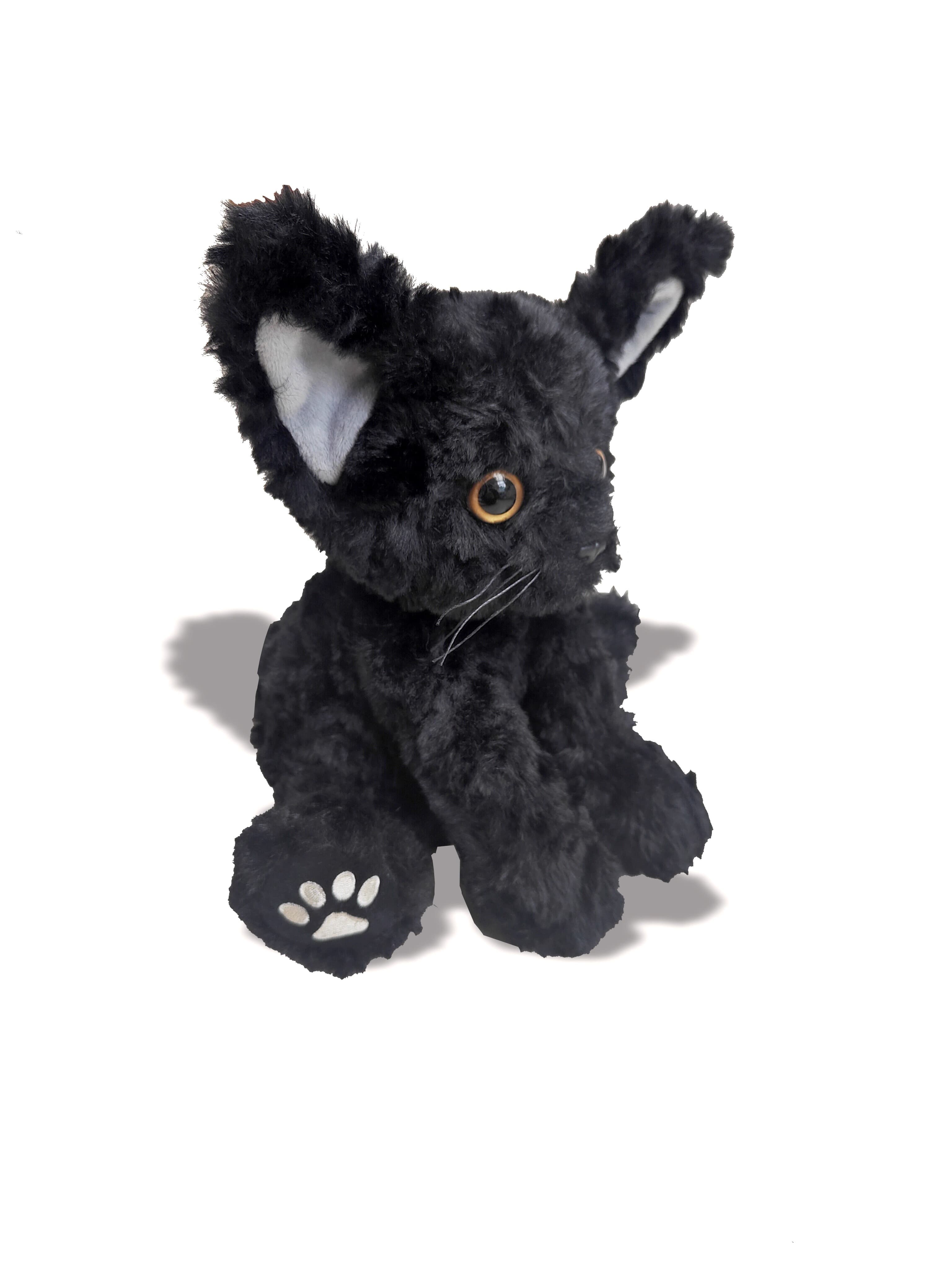 猫ぬいぐるみ まん丸おめめの魔法使い