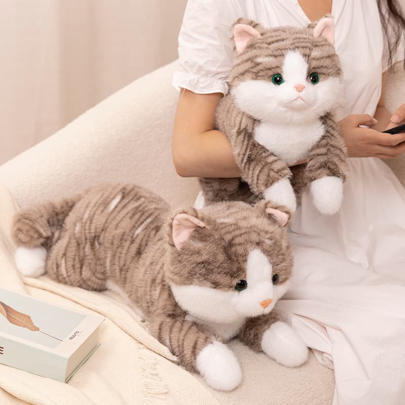 猫ぬいぐるみ グレー ふわもふ癒しの子猫ぬいぐるみ