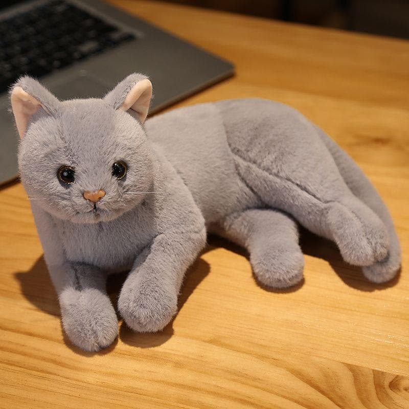 猫ぬいぐるみ まんまる瞳の夜のともだち