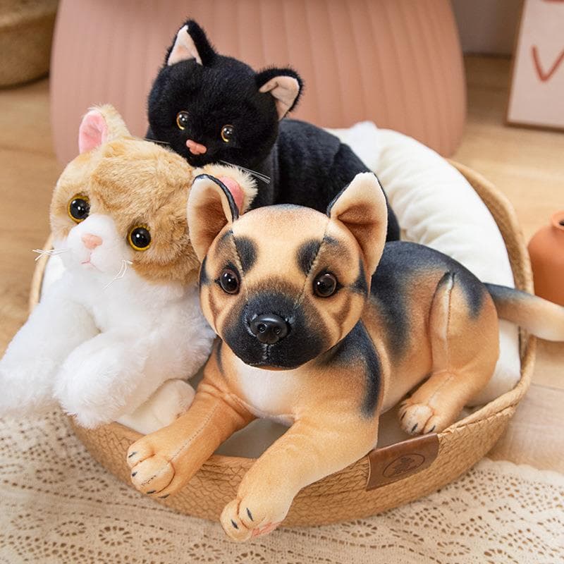 猫ぬいぐるみ まんまる瞳の夜のともだち