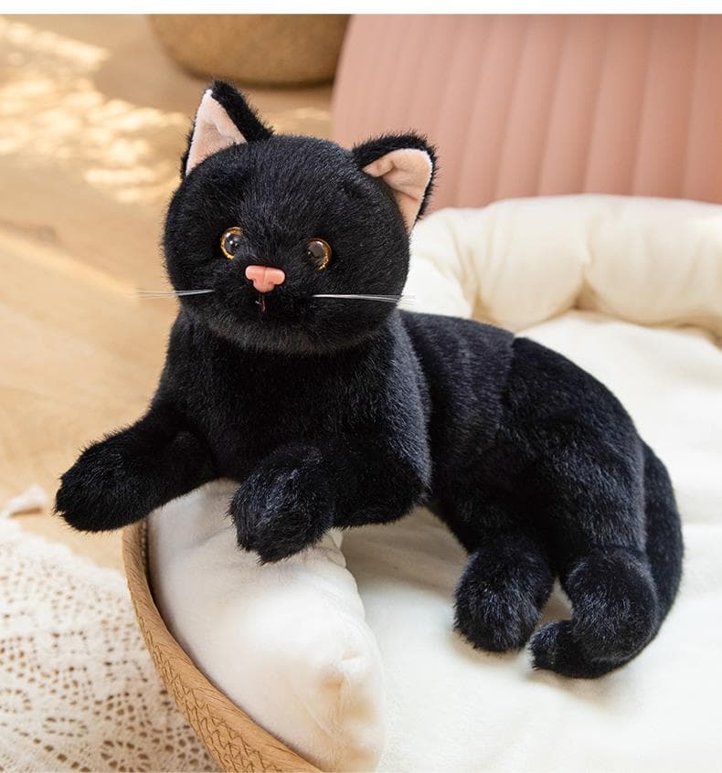 猫ぬいぐるみ まんまる瞳の夜のともだち