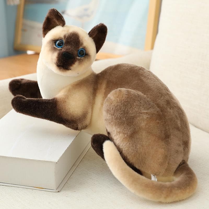 猫ぬいぐるみ まんまる瞳の夜のともだち